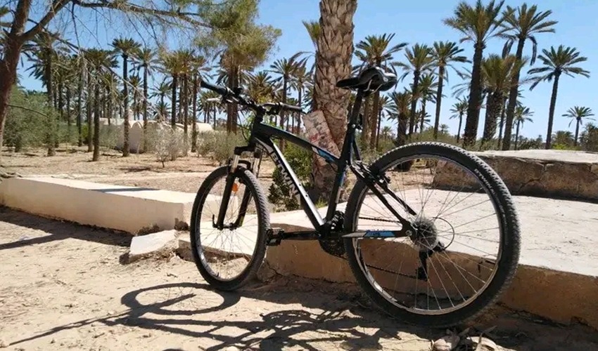 Trois circuits vélo pour découvrir Djerba autrement : une expérience de mobilité douce avec MIZĀN